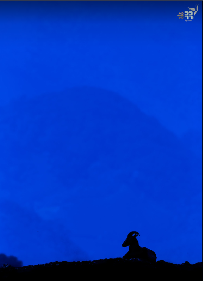 Home screenshot 2026 07 22 203352